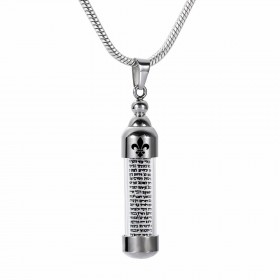 PE0120 BOBIJOO Jewelry Pendant Mezuzah Jewish Steel Glass Fleur de Lys Chain