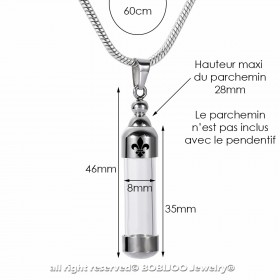 Pendentif Mezouza Juif Acier Verre Fleur de Lys Chaîne bobijoo