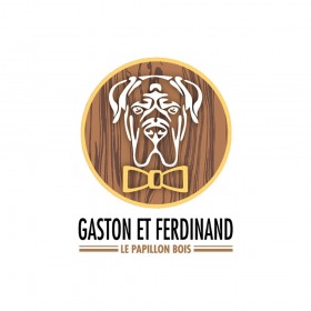 NP0056 Gaston et Ferdinand Fliege Holz Geometrie Streifen