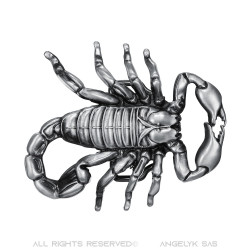 BC0039 BOBIJOO Jewelry Belt buckle Scorpion Desert USA