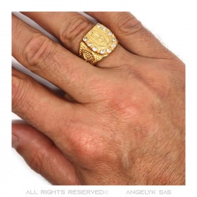 BA0272 BOBIJOO Jewelry Ring Siegel Ring Camargue Hufeisen Virgin Steel Gold