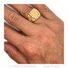 BA0272 BOBIJOO Jewelry Ring Signet Ring Camargue Horseshoe Virgin Steel Gold