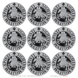 Lotto di 9 Perni di Tenuta Cavalieri Templari, 25mm  IM#18576