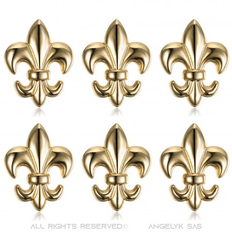 Lot de 6 Pin's Epingle Broche Fleur de Lys Laiton Doré  IM#18615