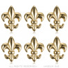 Lot de 6 Pin's Epingle Broche Fleur de Lys Laiton Doré  IM#18615