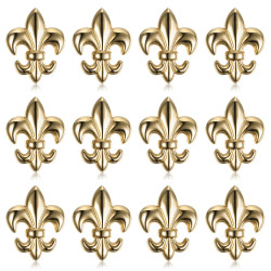 PIN0032-12 BOBIJOO Jewelry Lot of 12 Fleur-de-Lys pins in brass gilded with fine gold