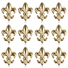 Lot de 12 Pins Fleur de Lys en laiton doré à l'or fin bobijoo