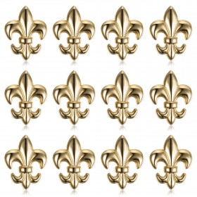 PIN0032-12 BOBIJOO Jewelry Lot of 12 Fleur-de-Lys pins in brass gilded with fine gold