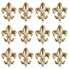 Lot de 12 Pins Fleur de Lys en laiton doré à l'or fin bobijoo