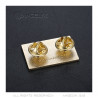 PIN0040 BOBIJOO Jewelry Travellers Pins, die goldene und emaillierte Roma-Flagge