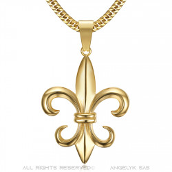 Pendentif fleur de lys Acier inoxydable et Or Chaîne 60cm bobijoo