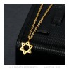 Petit Pendentif Collier Femme Etoile de David Acier + Chaîne  IM#22269