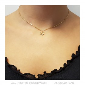 Petit Pendentif Collier Femme Etoile de David Acier + Chaîne  IM#22271