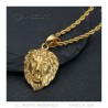 Lion head pendant Diamond eyes Stainless steel Gold IM#22291