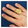 Horseshoe Ring Red Ruby Camargue Traveller Steel Gold IM#23711