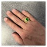 Bague universitaire Gens du voyage France Niglo Vert Or  IM#24628