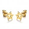 Boucles d'oreilles étoile de David Acier inoxydable Or  IM#25016
