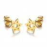 Star of David Earrings Stainless Steel Gold IM#25016