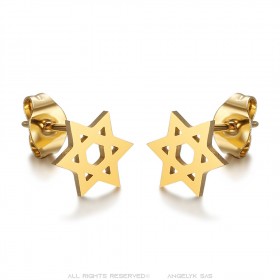 Star of David Earrings Stainless Steel Gold IM#25017