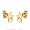 Boucles d'oreilles étoile de David Acier inoxydable Or  IM#25017