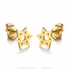 Aretes Estrella de David Acero Inoxidable Oro IM#25017