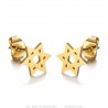 Aretes Estrella de David Acero Inoxidable Oro IM#25017