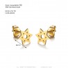 Boucles d'oreilles étoile de David Acier inoxydable Or  IM#25018