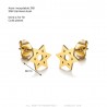 Aretes Estrella de David Acero Inoxidable Oro IM#25018