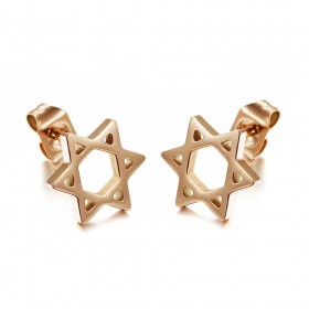 Aretes Estrella de David Acero Inoxidable Oro Rosa IM#25021