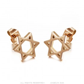 Aretes Estrella de David Acero Inoxidable Oro Rosa IM#25022