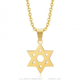 Star of David Pendant 15mm Chain 50cm Steel Gold IM#25046