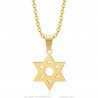 Star of David Pendant 15mm Chain 50cm Steel Gold IM#25046