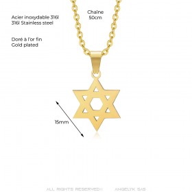 Star of David Pendant 15mm Chain 50cm Steel Gold IM#25047