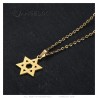 Star of David Pendant 15mm Chain 50cm Steel Gold IM#25048