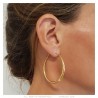 Wide hoop earrings Stainless steel Gold 50mm IM#25668