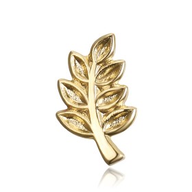 Pino Rama de Acacia masón, de Oro29305
